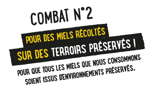 combat_02b